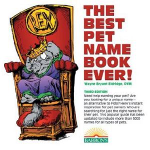 Best Dachshund Names — and How I Got Mine