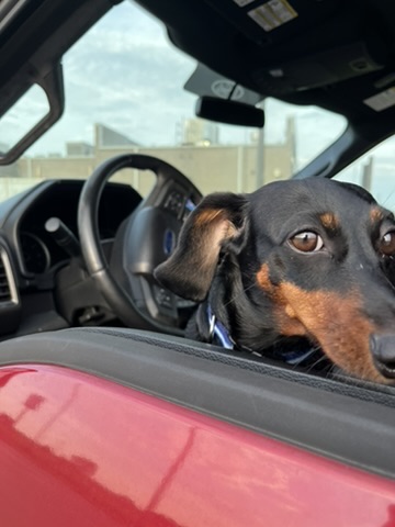 I Drove the Car on Our Road Trip (Mostly)