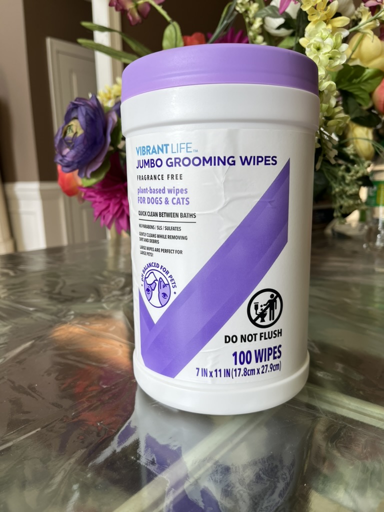 Dog Wipes for Dachshunds: Stay Fresh Without the Bath